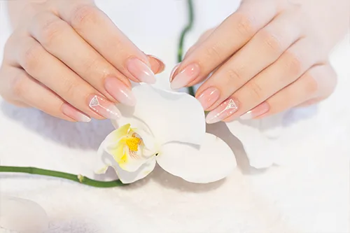 Nails Services
